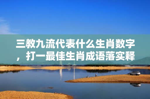 三教九流代表什么生肖数字，打一最佳生肖成语落实释义插图