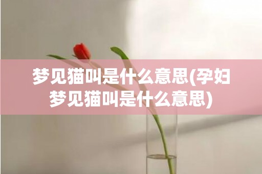 梦见猫叫是什么意思(孕妇梦见猫叫是什么意思)