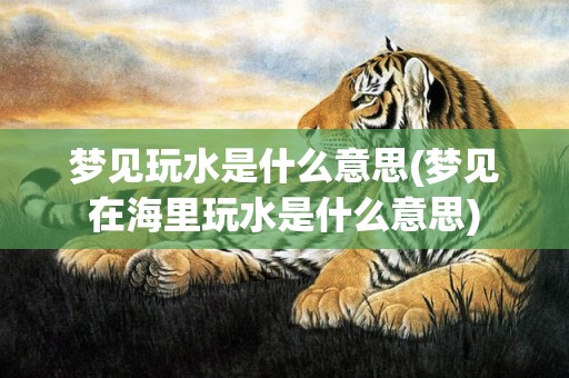 梦见玩水是什么意思(梦见在海里玩水是什么意思)