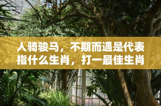 人骑骏马，不期而遇是代表指什么生肖，打一最佳生肖成语解释插图