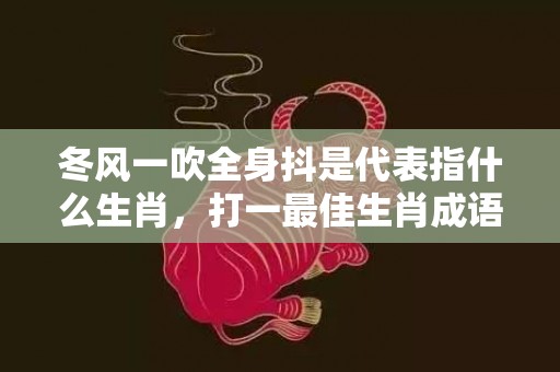 冬风一吹全身抖是代表指什么生肖，打一最佳生肖成语解释