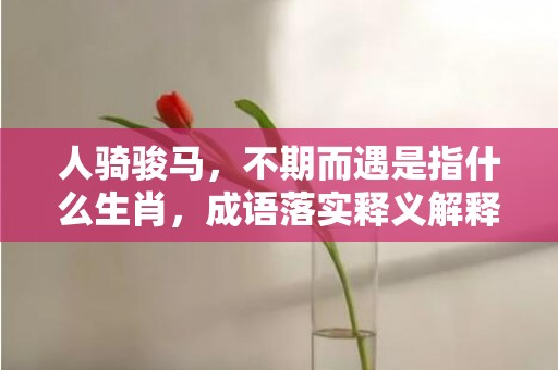 人骑骏马，不期而遇是指什么生肖，成语落实释义解释