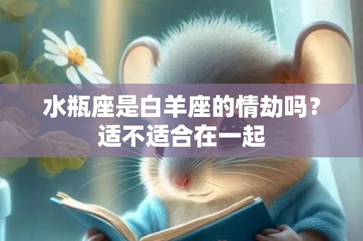 水瓶座是白羊座的情劫吗？适不适合在一起