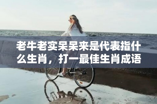 老牛老实呆呆来是代表指什么生肖，打一最佳生肖成语解释插图