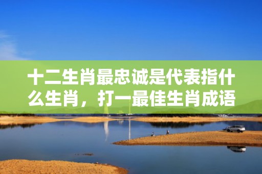 十二生肖最忠诚是代表指什么生肖，打一最佳生肖成语解释