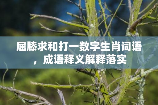 屈膝求和打一数字生肖词语，成语释义解释落实