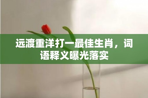 远渡重洋打一最佳生肖，词语释义曝光落实插图