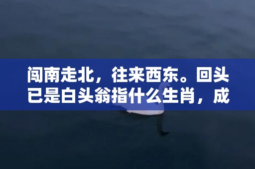 闯南走北，往来西东。回头已是白头翁指什么生肖，成语释义解释落实