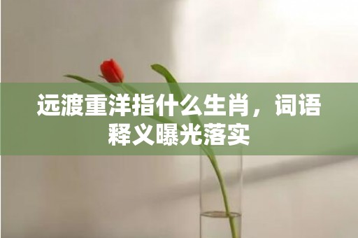远渡重洋指什么生肖，词语释义曝光落实