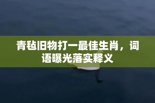 青毡旧物打一最佳生肖，词语曝光落实释义插图