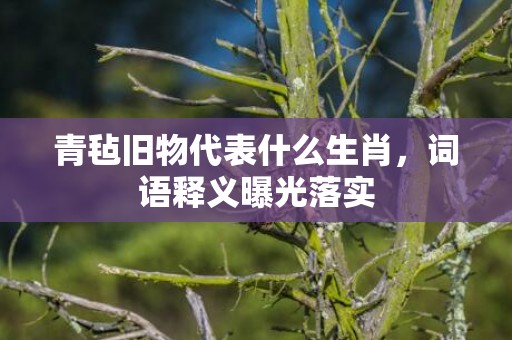 青毡旧物代表什么生肖，词语释义曝光落实