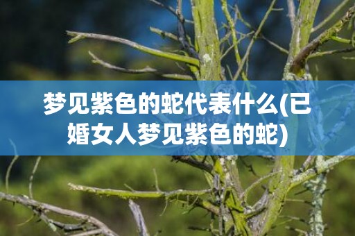 梦见紫色的蛇代表什么(已婚女人梦见紫色的蛇)