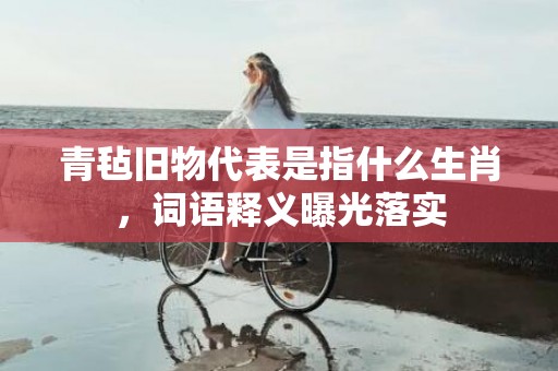 青毡旧物代表是指什么生肖，词语释义曝光落实