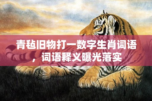 青毡旧物打一数字生肖词语，词语释义曝光落实