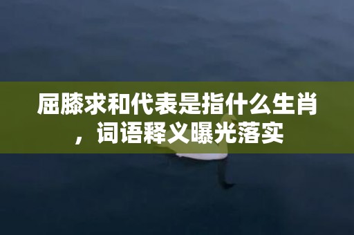 屈膝求和代表是指什么生肖，词语释义曝光落实