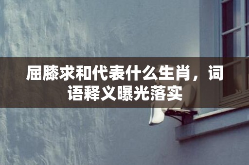 屈膝求和代表什么生肖，词语释义曝光落实