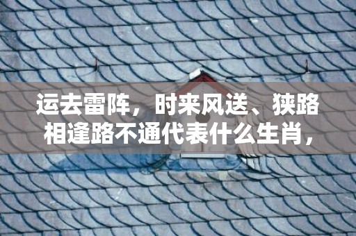 运去雷阵，时来风送、狭路相逢路不通代表什么生肖，成语释义解释落实