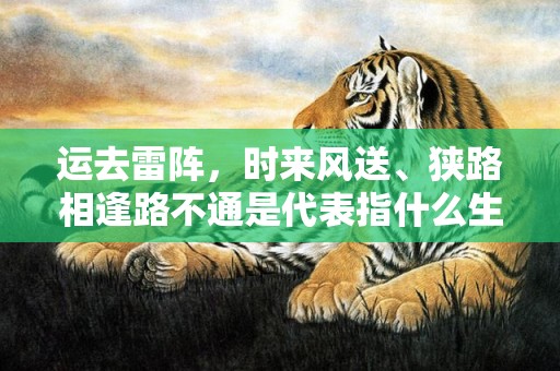 运去雷阵，时来风送、狭路相逢路不通是代表指什么生肖，成语释义解释落实
