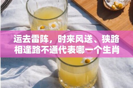 运去雷阵，时来风送、狭路相逢路不通代表哪一个生肖，成语释义解释落实