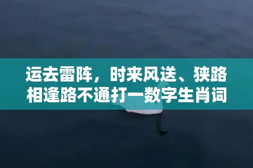 运去雷阵，时来风送、狭路相逢路不通打一数字生肖词语，成语释义解释落实