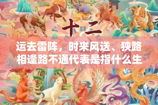 运去雷阵，时来风送、狭路相逢路不通代表是指什么生肖，成语释义解释落实