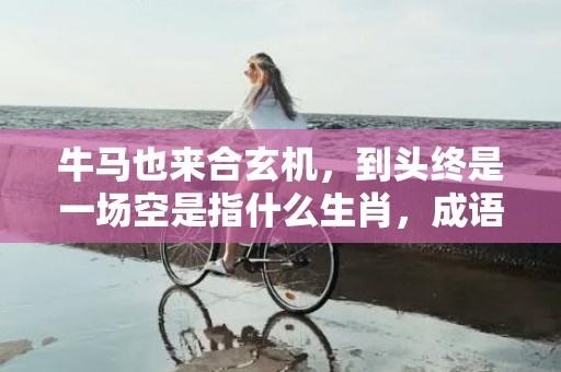 牛马也来合玄机，到头终是一场空是指什么生肖，成语释义解释落实
