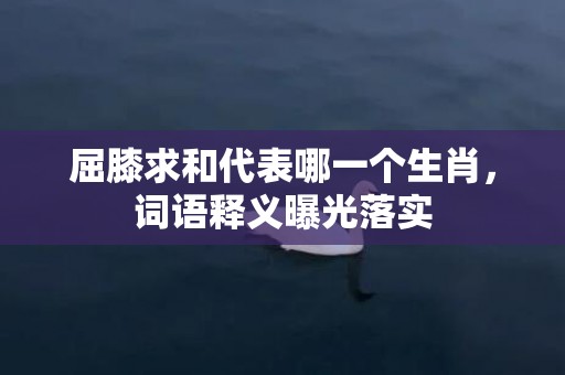 屈膝求和代表哪一个生肖，词语释义曝光落实