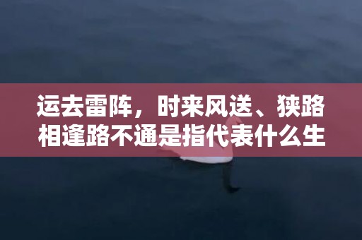 运去雷阵，时来风送、狭路相逢路不通是指代表什么生肖，打一最佳生肖词语，成语释义解释落实