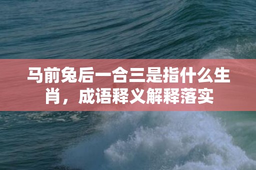 马前兔后一合三是指什么生肖，成语释义解释落实