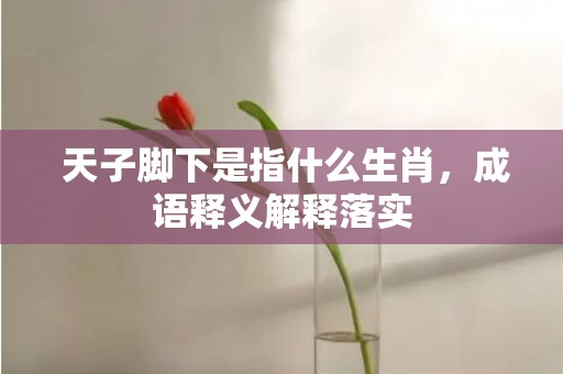 天子脚下是指什么生肖，成语释义解释落实插图