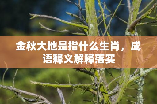 金秋大地是指什么生肖，成语释义解释落实