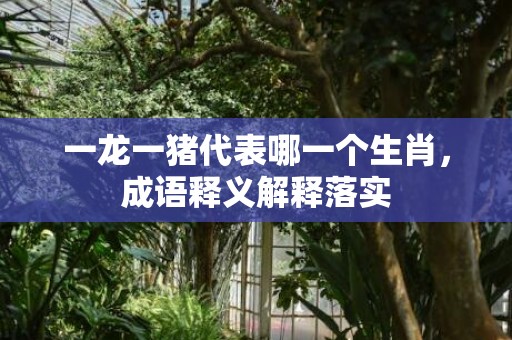 一龙一猪代表哪一个生肖，成语释义解释落实