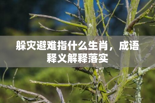 躲灾避难指什么生肖，成语释义解释落实