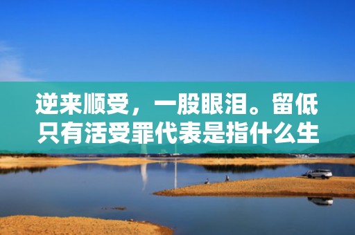 逆来顺受，一股眼泪。留低只有活受罪代表是指什么生肖，成语释义解释落实