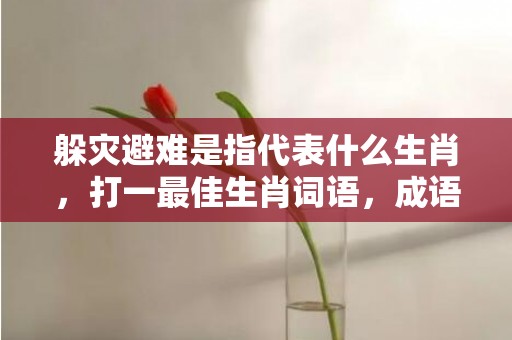 躲灾避难是指代表什么生肖，打一最佳生肖词语，成语释义解释落实