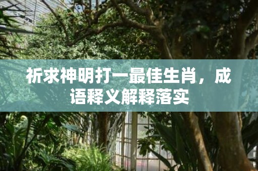 祈求神明打一最佳生肖，成语释义解释落实