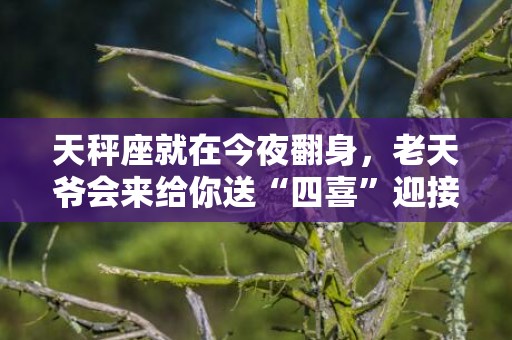 天秤座就在今夜翻身，老天爷会来给你送“四喜”迎接