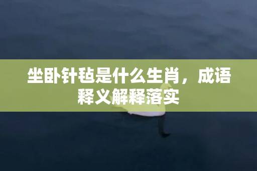 坐卧针毡是什么生肖，成语释义解释落实