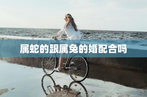 属蛇的跟属兔的婚配合吗