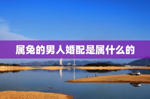 属兔的男人婚配是属什么的