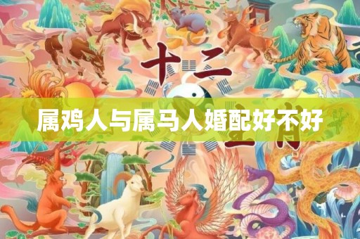 属鸡人与属马人婚配好不好