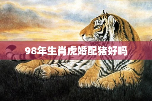98年生肖虎婚配猪好吗