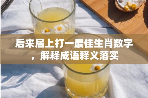 后来居上打一最佳生肖数字，解释成语释义落实