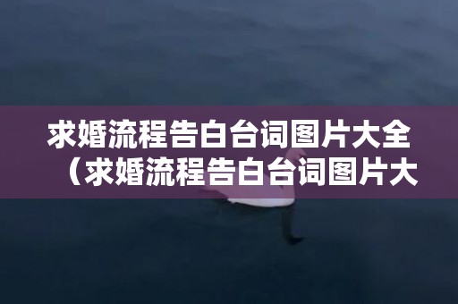 求婚流程告白台词图片大全（求婚流程告白台词图片大全高清）