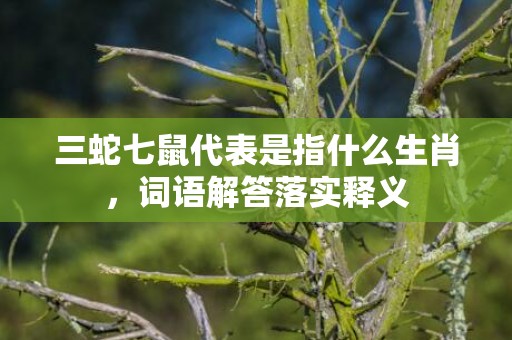 三蛇七鼠代表是指什么生肖，词语解答落实释义
