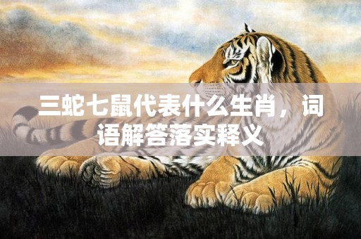 三蛇七鼠代表什么生肖，词语解答落实释义