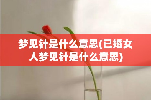 梦见针是什么意思(已婚女人梦见针是什么意思)
