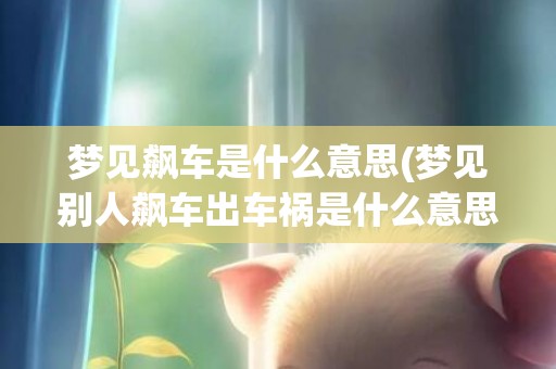 梦见飙车是什么意思(梦见别人飙车出车祸是什么意思)