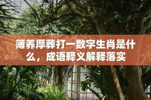 薄养厚葬打一数字生肖是什么，成语释义解释落实
