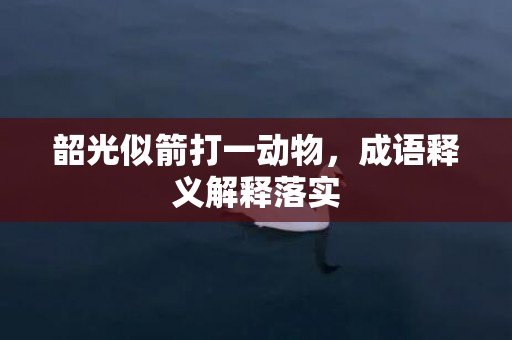 韶光似箭打一动物，成语释义解释落实